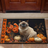 Cat Design Fall 2023 Collection Door Mats