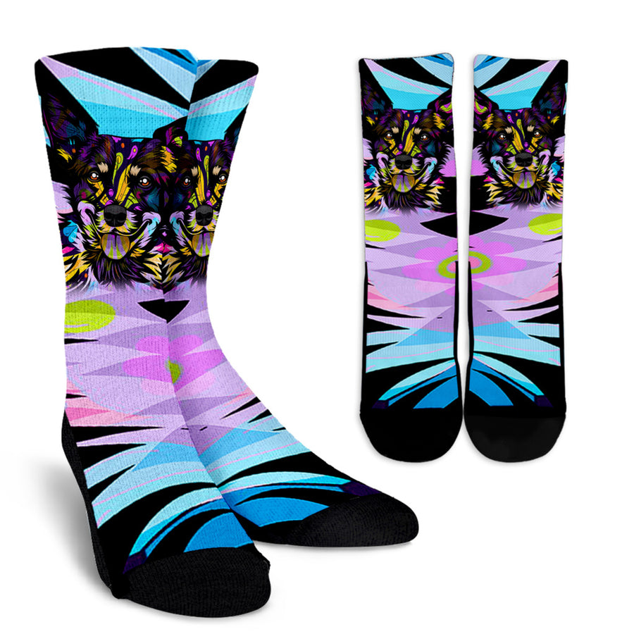 Australian Cattle Dog Design Socks - 2023  Collection by Cindy Sang