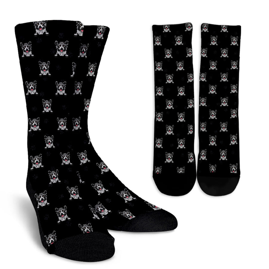 Akita Design Crew Socks - Black Background - 2022 Collection