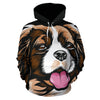 Cavalier King Charles Spaniel Design All Over Print Hoodies With Black Background