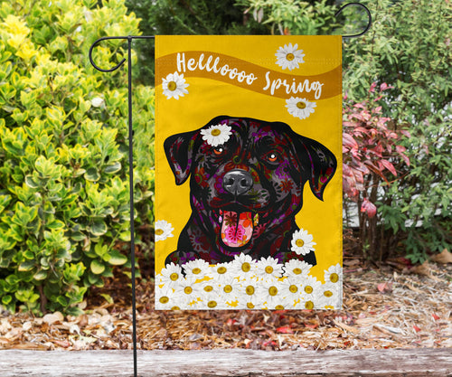 Labrador Design #3 Hello Spring Garden and House Flags - 2023 Cindy Sang Collection