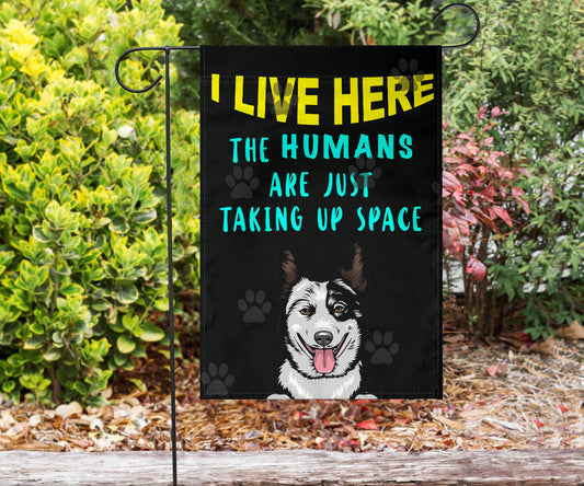 Australian Cattle Dog Design Humans Are Just Taking Up Space Garden & House Flags - 2022 Collection