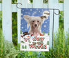 Chinese Crested Design Seasons Greetings Garden and House Flags - JillnJacks Exclusive