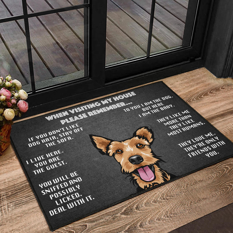 Welsh Terrier Design Door Mats For Visitors - 2022 Collection
