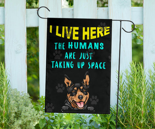 Australian Kelpie Design Humans Are Just Taking Up Space Garden & House Flags - 2022 Collection
