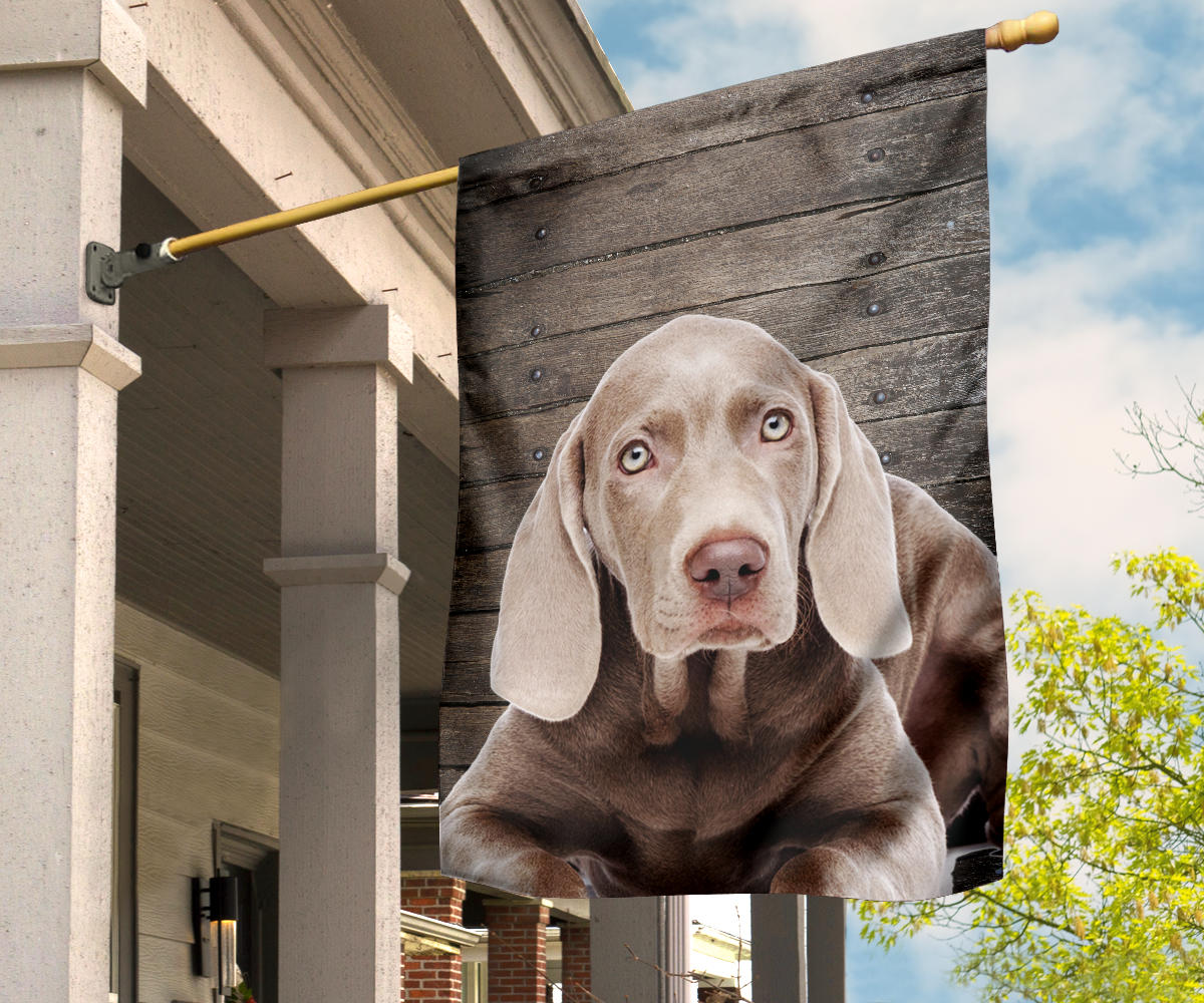 Weimaraner Dog Design Garden & House Flags - JillnJacks Exclusive