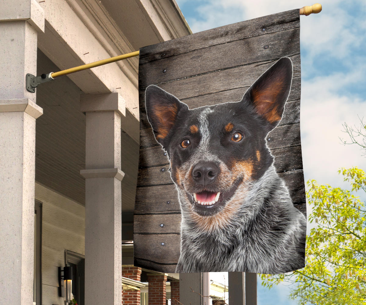 Australian Cattle Dog Design Garden & House Flags - JillnJacks Exclusive