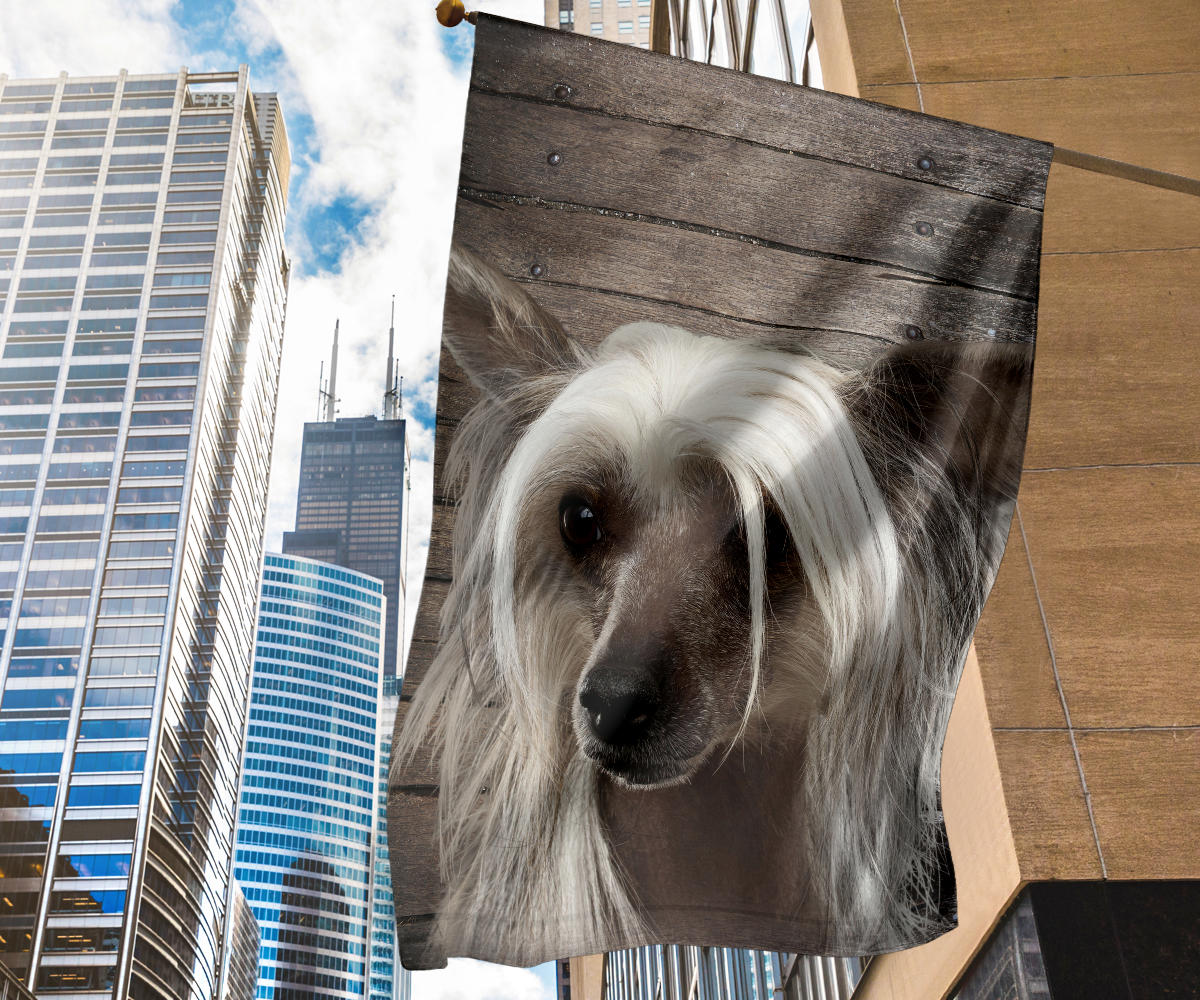 Chinese Crested Dog Design Garden & House Flags - JillnJacks Exclusive