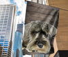 Schnauzer Dog Design Garden & House Flags - JillnJacks Exclusive