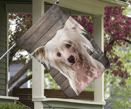 Chinese Crested Dog Design Garden & House Flags - JillnJacks Exclusive