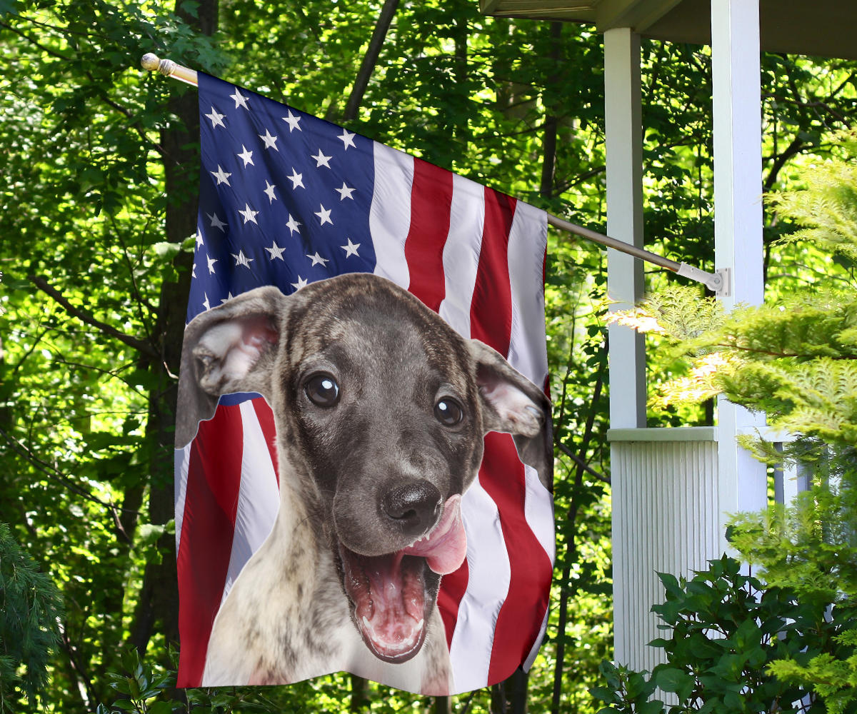 Whippet Dog Design Garden & House Flags - JillnJacks Exclusive