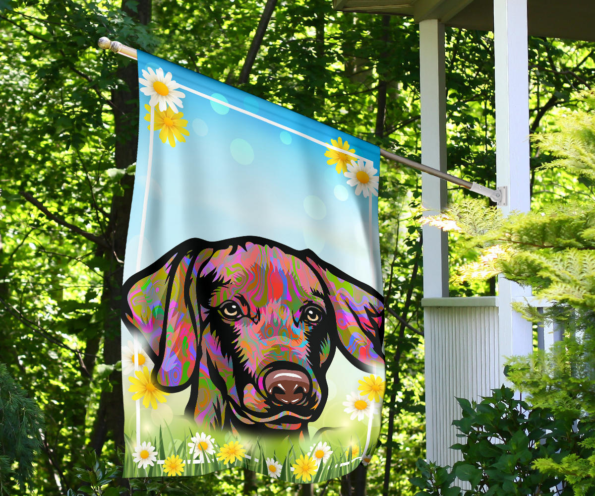 Weimaraner Design Spring Garden And House Flags - 2023 Collection by Cindy Sang